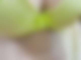 Live cam show with nidhilove - Big Nipples on Milfs Live