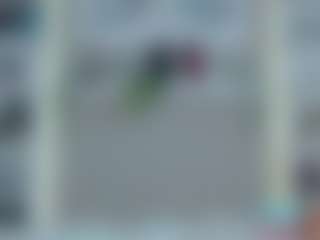 Kazzumi's Live Sex Cam Show
