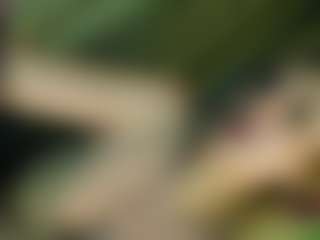 Live cam show with TsPostOphere - Uk on xheatlive.com | united states