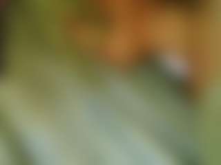 Live-camshow met TsPostOphere - English op Camsoda