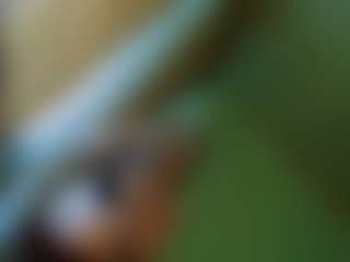 TsPostOphere's Live Sex Cam Show