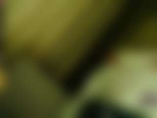 Live cam show with TsPostOphere - English on camwithhim.com