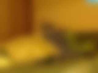 Live cam show with LusciousLipsT - Bedroom Ebony on eurowanks.com