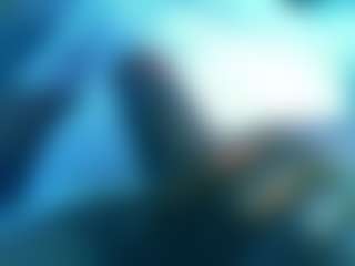 Chunky Palmer's Live Sex Cam Show