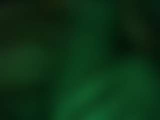 Chunky Palmer's Live Sex Cam Show