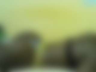 Live cam show with Sella-bella - Facial on testsause.com