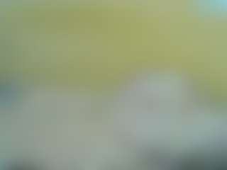 Live cam show with Sella-bella - Ebony on testsause.com | kenya