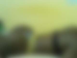 Live cam show with Sella-bella - Armpits on anonymated.com