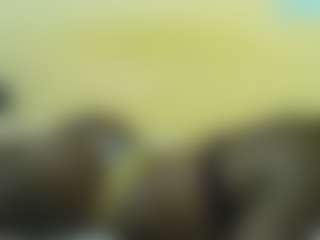 Sella-bella's Live Sex Cam Show