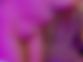 Show Live Sex Cam MiamiQueen