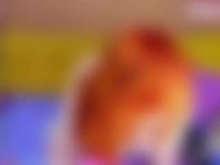 BoobieBabe's Live Sex Cam Show