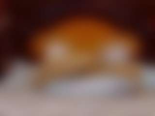 NoraBigAss's Live Sex Cam Show