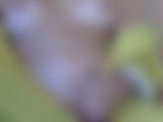 pamelapretty's Live Sex Cam Show