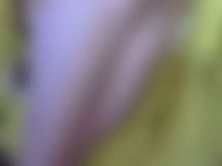 pamelapretty's Live Sex Cam Show