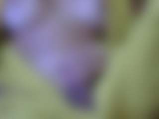 Show in cam erotica live di pamelapretty