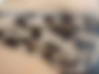 Show live cam dengan samyspresleyts - Average di Camsoda