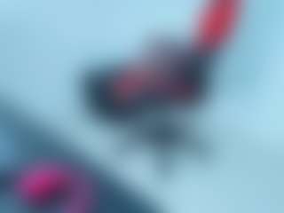 ambar-rose1's Live Sex Cam Show