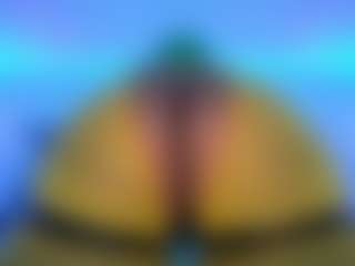Oxlemon's Live Sex Cam Show