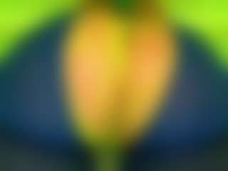 Oxlemon's Live Sex Cam Show