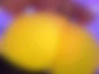 Oxlemon's Live Sex Cam Show