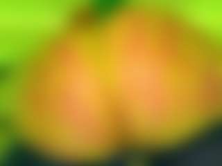 Oxlemon's Live Sex Cam Show