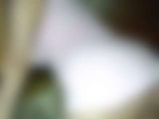 AdeAde's Live Sex Cam Show