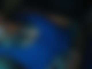 AntiSocialButterf1ys Live-Sex-Cam-Show