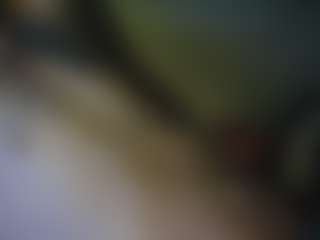 AntiSocialButterf1y's Live Sex Cam Show