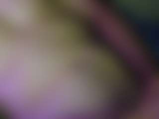 AntiSocialButterf1y's Live Sex Cam Show