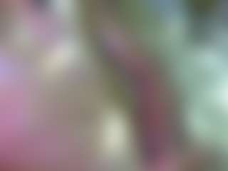 Show in cam erotica live di AntiSocialButterf1y