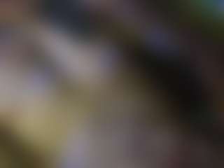 AntiSocialButterf1ys Live-Sex-Cam-Show