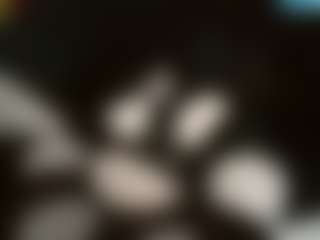 camdoll4u's Live Sex Cam Show