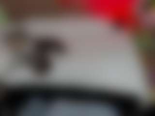KarolPage's Live Sex Cam Show