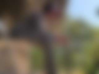 Onishiru's Live Sex Cam Show