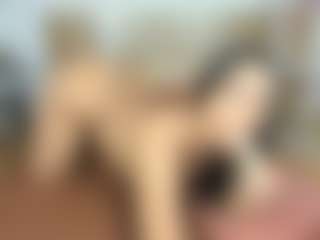 Live cam show with Dannessa - Ride Torso on Camsoda