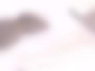 Live cam show with AshlyFoxx1 - Grandes Tetas on Stripli.com