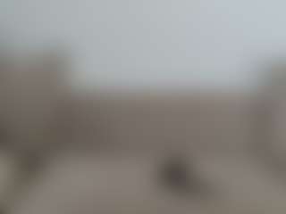 Elinas Live-Sex-Cam-Show
