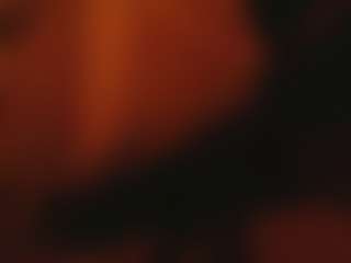 Live cam show with NoraNoir - Butt Plug on hornycams.live