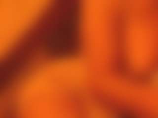 NoraNoir's Live Sex Cam Show