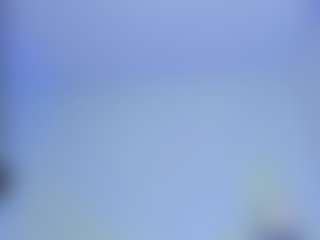 iris-torrez's Live Sex Cam Show