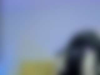 Live cam show with iris-torrez - Camel Toe on livesuperchat.net