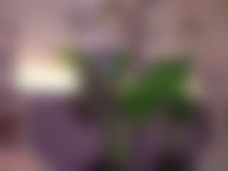 Elle Diane 👑's Live Sex Cam Show