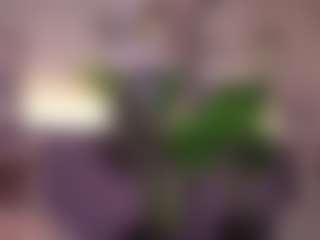 Elle Diane 👑's Live Sex Cam Show