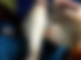 BRENDAMILFHOT's Live Sex Cam Show