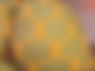 melonsboobss's Live Sex Cam Show