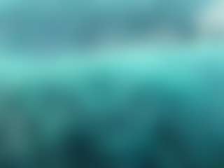 melonsboobss's Live Sex Cam Show