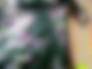StarFireX's Live Sex Cam Show