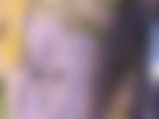 VanessaSoft's Live Sex Cam Show