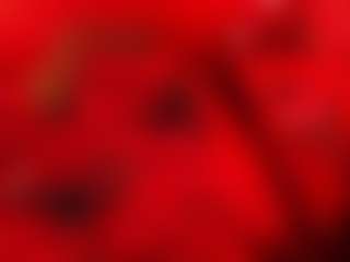 JenniferStarTS's Live Sex Cam Show