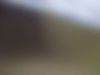 willyourepeatthatplease's Live Sex Cam Show